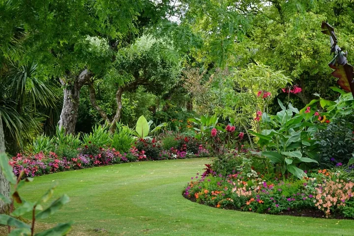 A garden in full growth, a climate conversation happening one plant at a time.