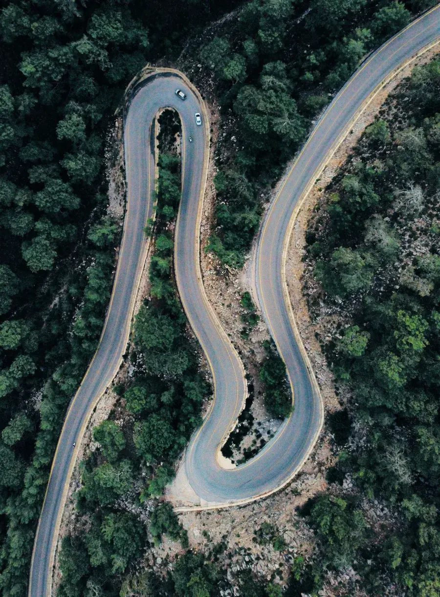 A road bending back on itself through the trees, the quieter way taken anyway.
