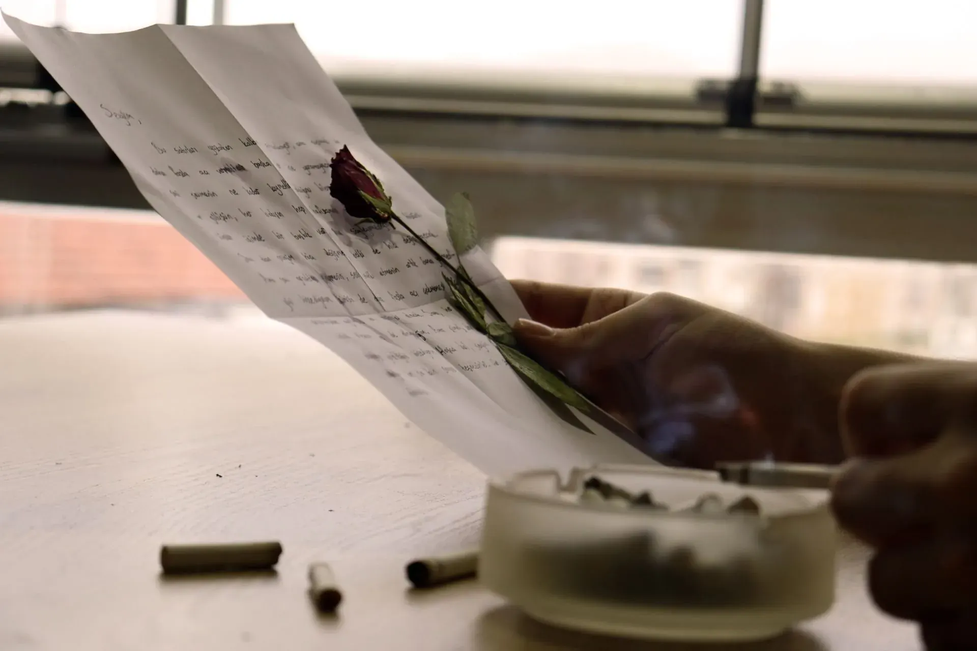Hands holding a letter and a dried rose, words kept for the woman still becoming.