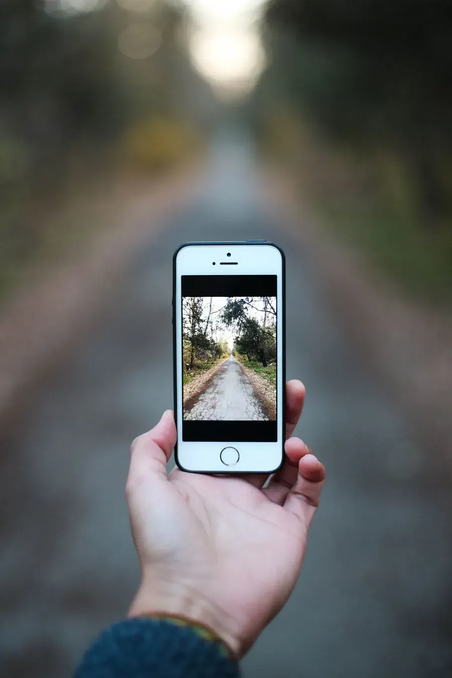 A phone held up to a path, the picture taken and the place half missed.