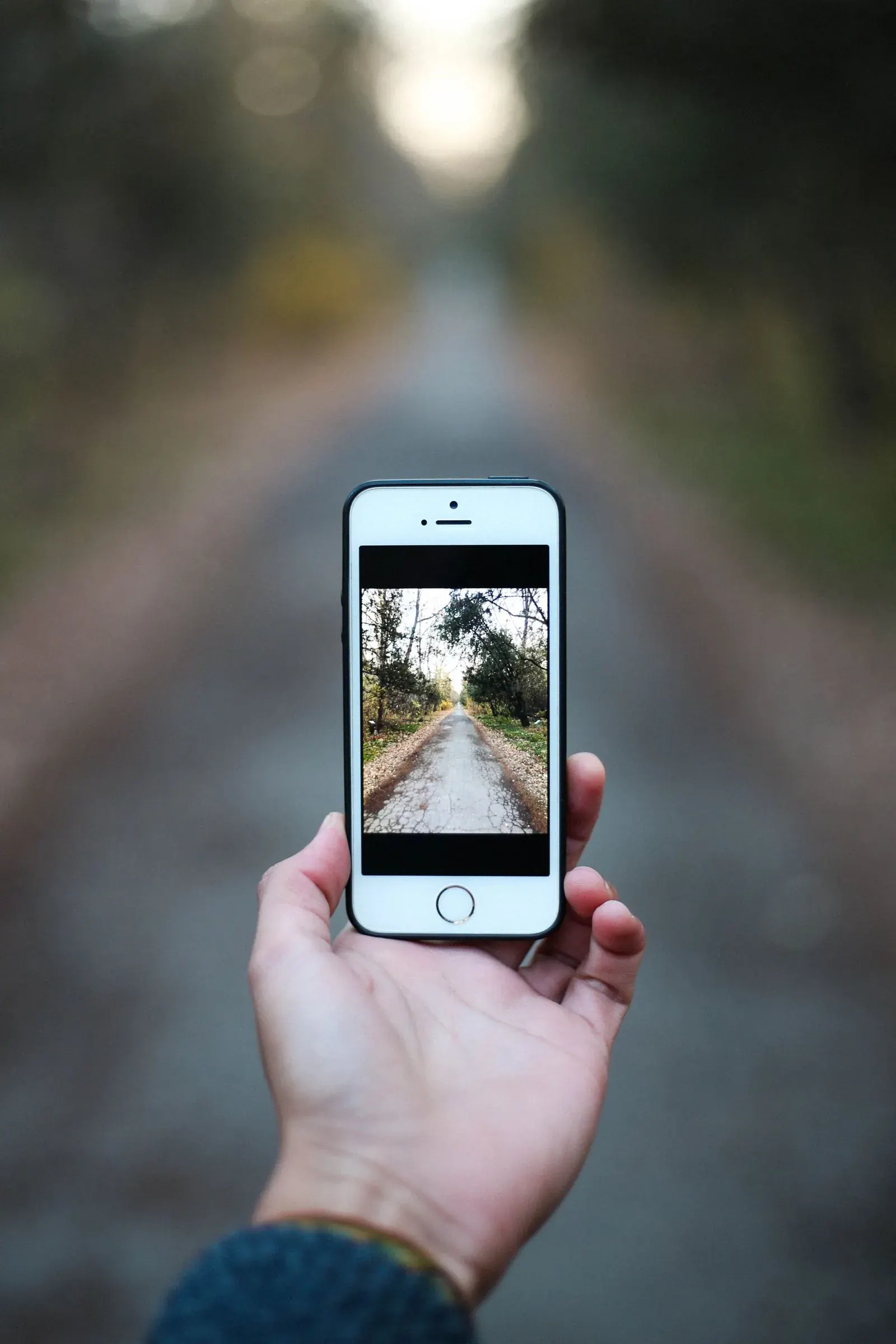 A phone held up to a path, the picture taken and the place half missed.