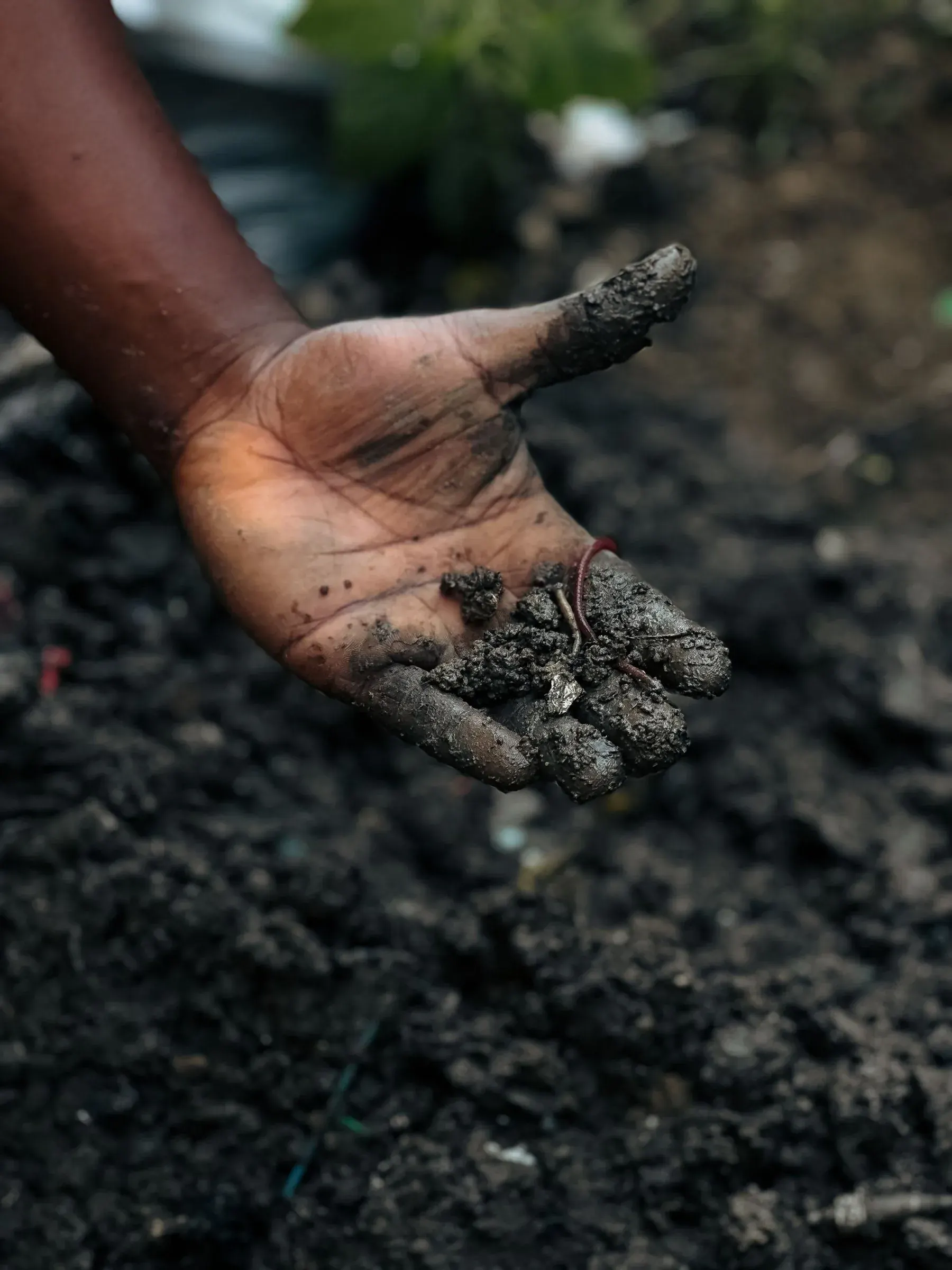 A handful of dark soil held up to the light, everything that keeps going underneath us.