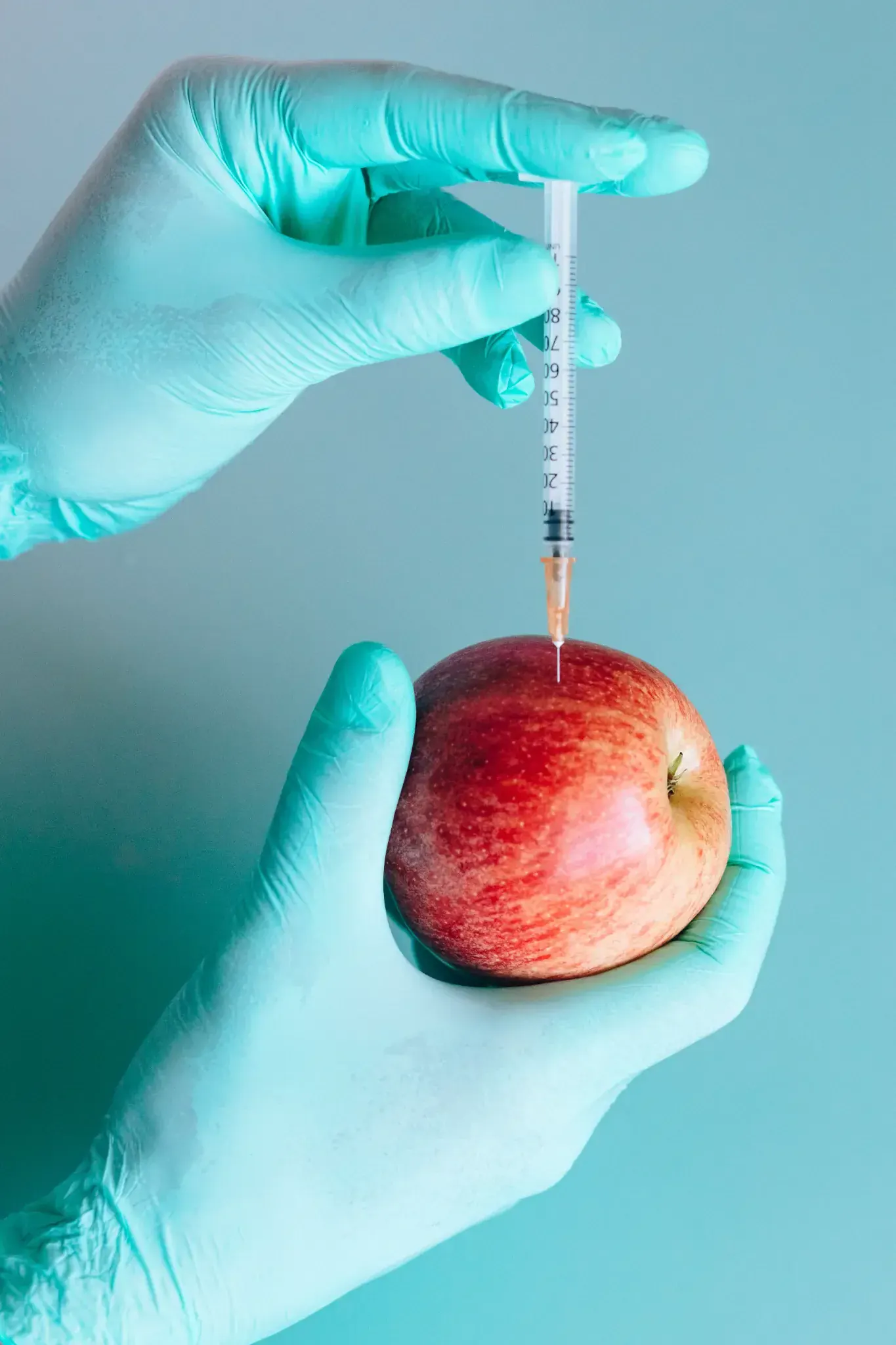 A syringe pressed into an apple, a hormone turned into an argument.
